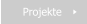 Projekte